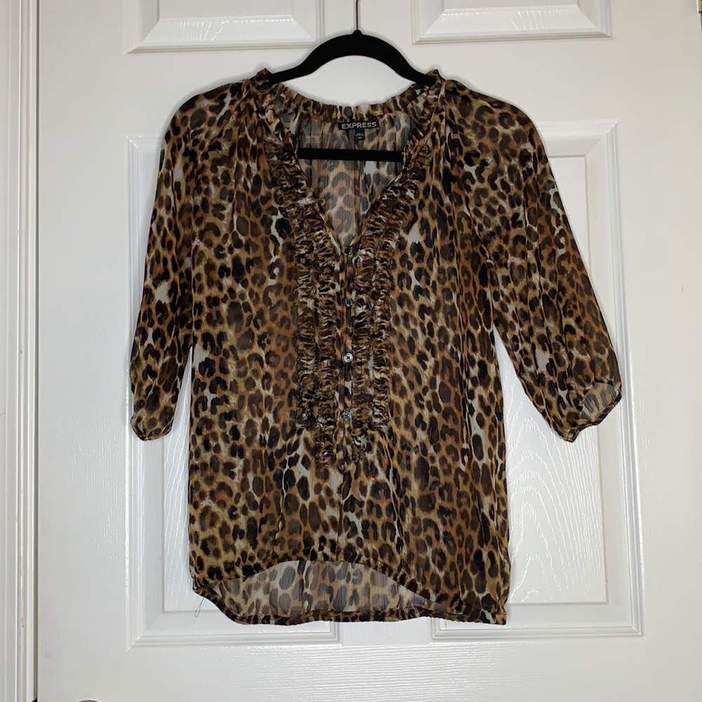 Express Sheer Cheetah Print Top